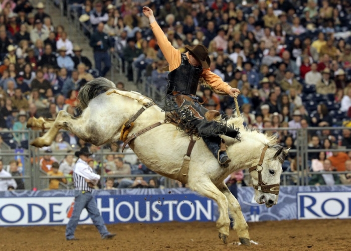 Houston Rodeo Time