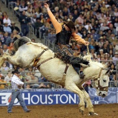 Houston Rodeo Time